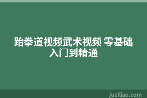 跆拳道视频武术视频 零基础入门到精通