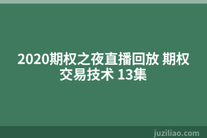 2020期权之夜直播回放 期权交易技术 13集