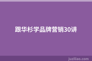 跟华杉学品牌营销30讲