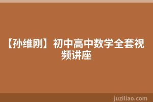 【孙维刚】初中高中数学全套视频讲座