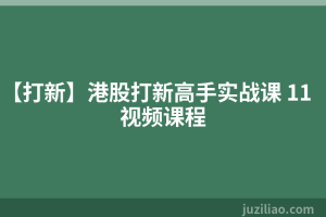 【打新】港股打新高手实战课 11视频课程
