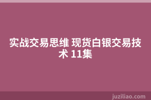 实战交易思维 现货白银交易技术 11集