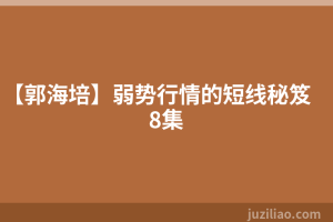 【郭海培】弱势行情的短线秘笈 8集