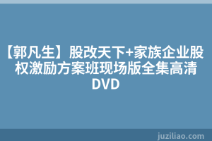 【郭凡生】股改天下+家族企业股权激励方案班现场版全集高清DVD