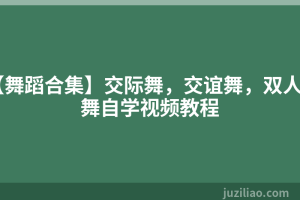 【舞蹈合集】交际舞，交谊舞，双人舞自学视频教程