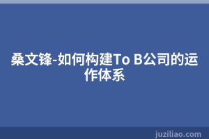 桑文锋-如何构建To B公司的运作体系