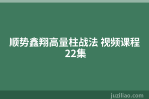 顺势鑫翔高量柱战法 视频课程 22集