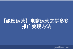 【绝密运营】电商运营之拼多多推广变现方法