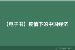 【电子书】疫情下的中国经济