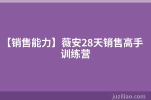 【销售能力】薇安28天销售高手训练营