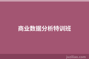 商业数据分析特训班