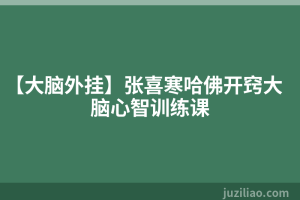 【大脑外挂】张喜寒哈佛开窍大脑心智训练课
