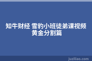 知牛财经 雪豹小班徒弟课视频 黄金分割篇