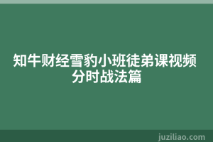 知牛财经雪豹小班徒弟课视频 分时战法篇