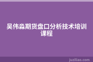 吴伟淼期货盘口分析技术培训课程