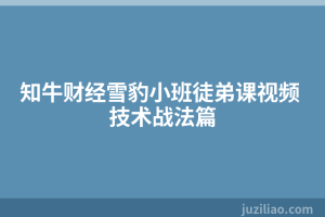 知牛财经雪豹小班徒弟课视频 技术战法篇