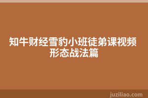 知牛财经雪豹小班徒弟课视频 形态战法篇