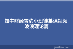 知牛财经雪豹小班徒弟课视频 波浪理论篇
