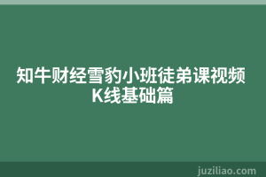 知牛财经雪豹小班徒弟课视频 K线基础篇