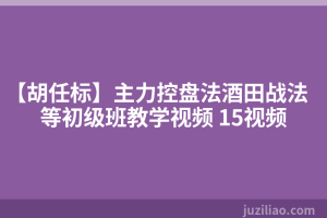 【胡任标】主力控盘法酒田战法等初级班教学视频 15视频