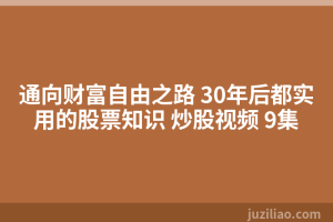通向财富自由之路 30年后都实用的股票知识 炒股视频 9集