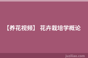 【养花视频】 花卉栽培学概论