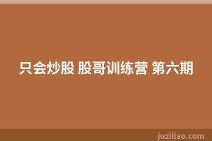 只会炒股 股哥训练营 第六期