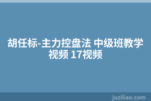 胡任标-主力控盘法 中级班教学视频 17视频