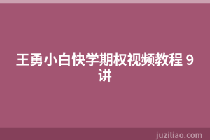 王勇小白快学期权视频教程 9讲