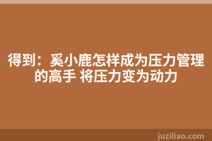 得到：奚小鹿怎样成为压力管理的高手 将压力变为动力