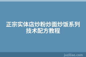正宗实体店炒粉炒面炒饭系列技术配方教程