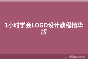 1小时学会LOGO设计教程精华版