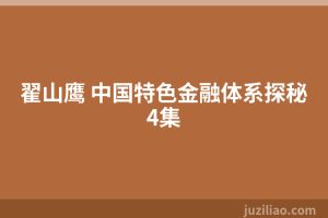 翟山鹰 中国特色金融体系探秘4集