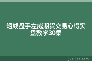 短线盘手左威期货交易心得实盘教学30集