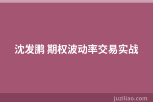 沈发鹏 期权波动率交易实战