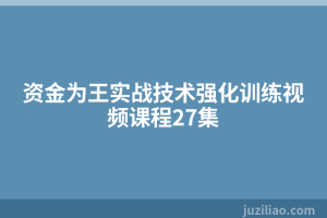 资金为王实战技术强化训练视频课程27集