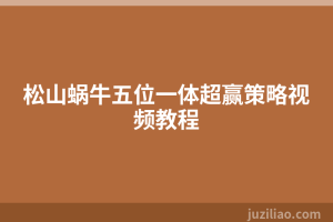 松山蜗牛五位一体超赢策略视频教程