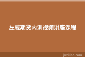 左威期货内训视频讲座课程