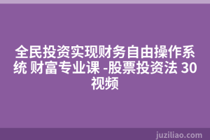 全民投资实现财务自由操作系统 财富专业课 -股票投资法 30视频