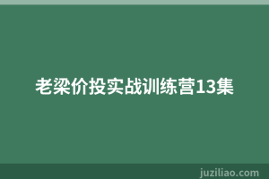 老梁价投实战训练营13集