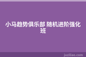 小马趋势俱乐部 随机进阶强化班