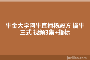 牛金大学阿牛直播杨殿方 擒牛三式 视频3集+指标