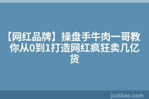 【网红品牌】操盘手牛肉一哥教你从0到1打造网红疯狂卖几亿货