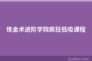 炼金术进阶学院疯狂低吸课程