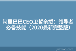 阿里巴巴CEO卫哲亲授：领导者必备技能（2020最新完整版）