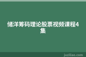 储洋筹码理论股票视频课程4集