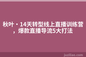 秋叶·14天转型线上直播训练营，爆款直播导流5大打法