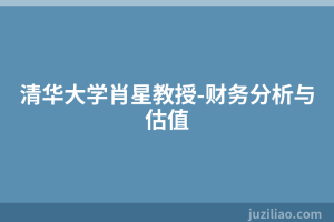 清华大学肖星教授-财务分析与估值