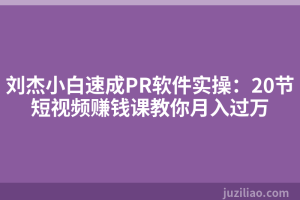 刘杰小白速成PR软件实操：20节短视频赚钱课教你月入过万