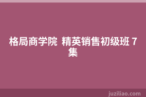 格局商学院  精英销售初级班 7集